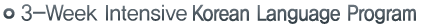 3-Week Intensive Korean Language Program